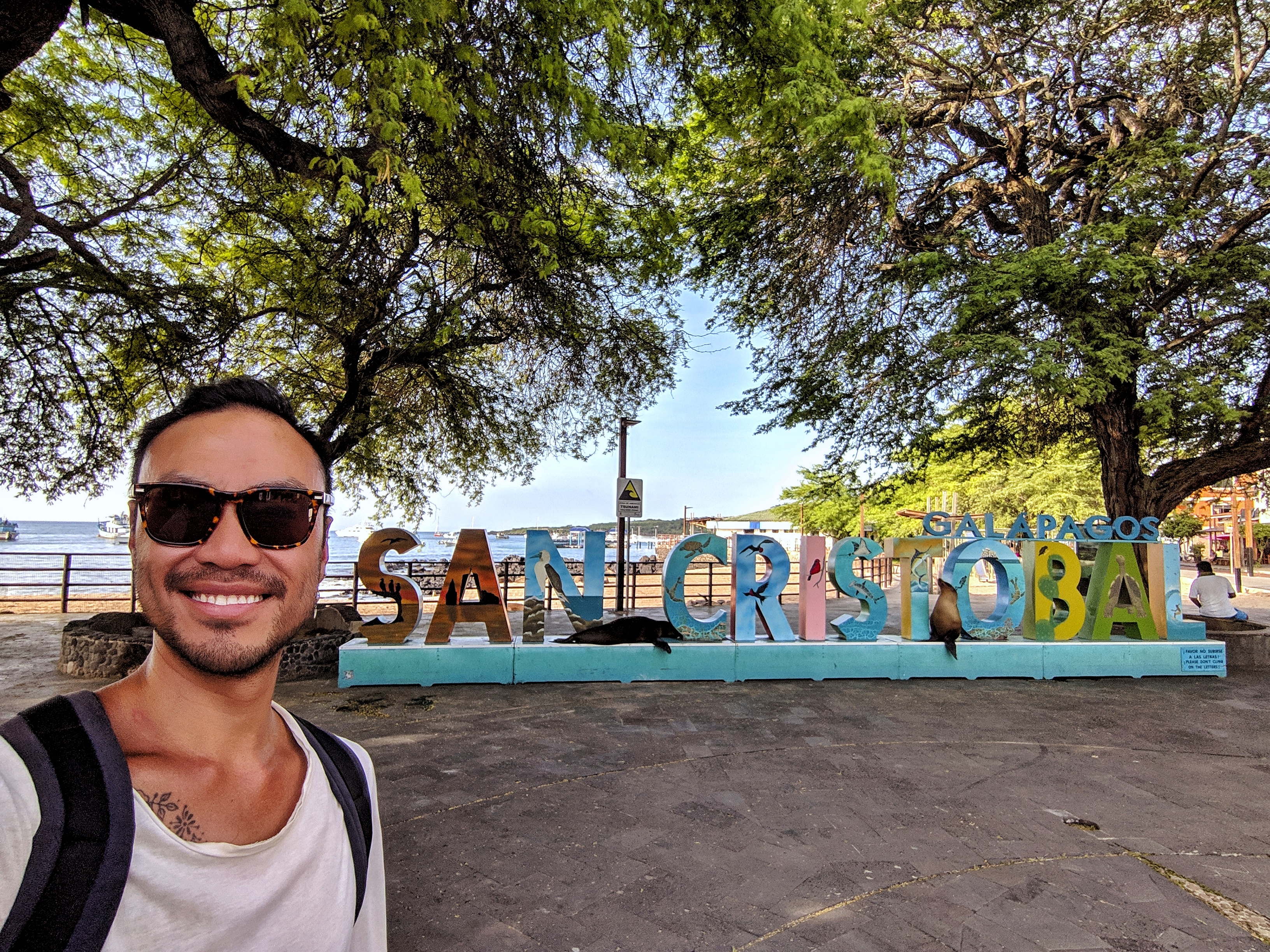 MVIMG_20190131_172915-01